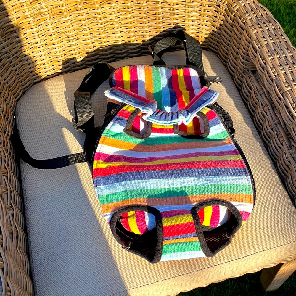 Small pet front carrier